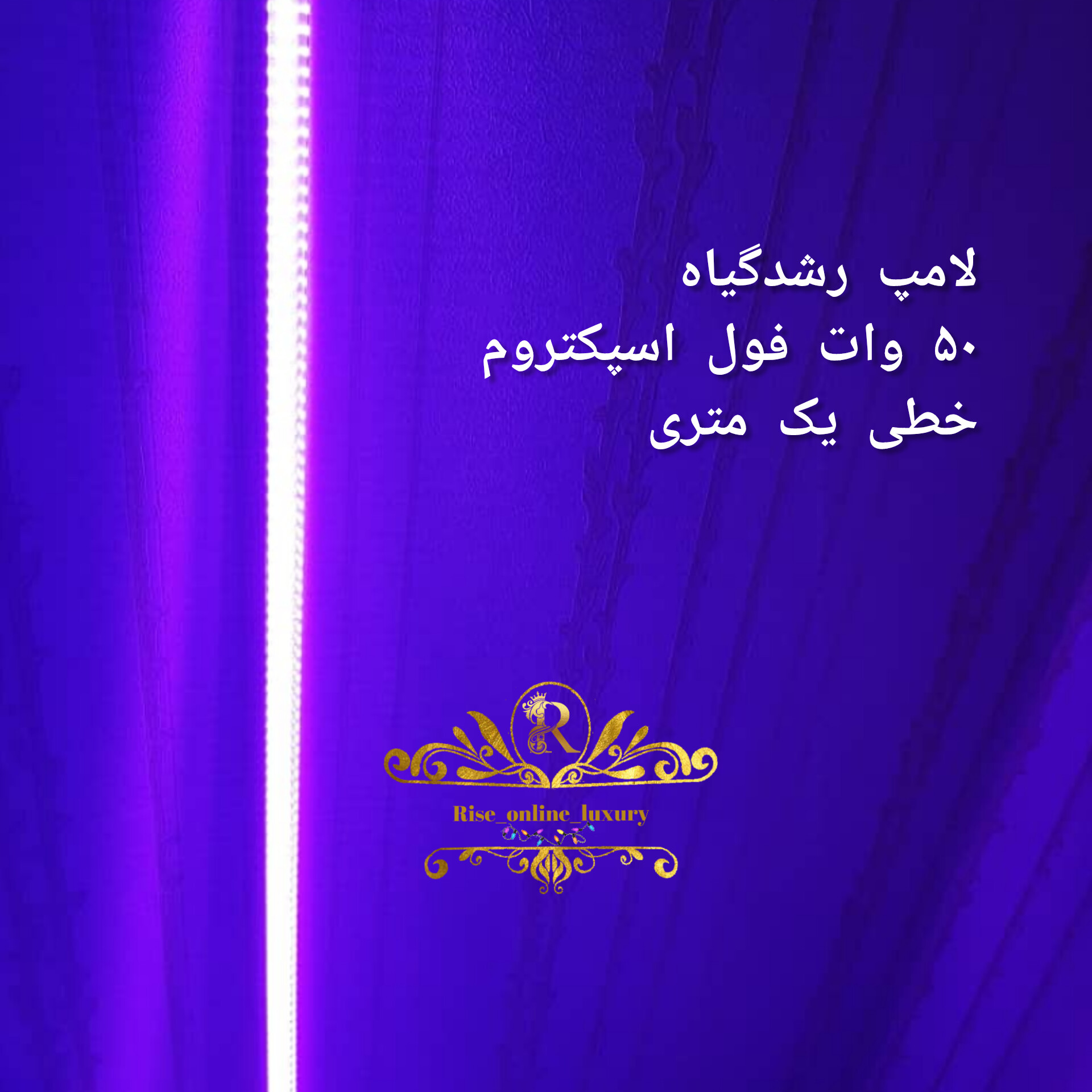 ریسه آنلاین لاکچری