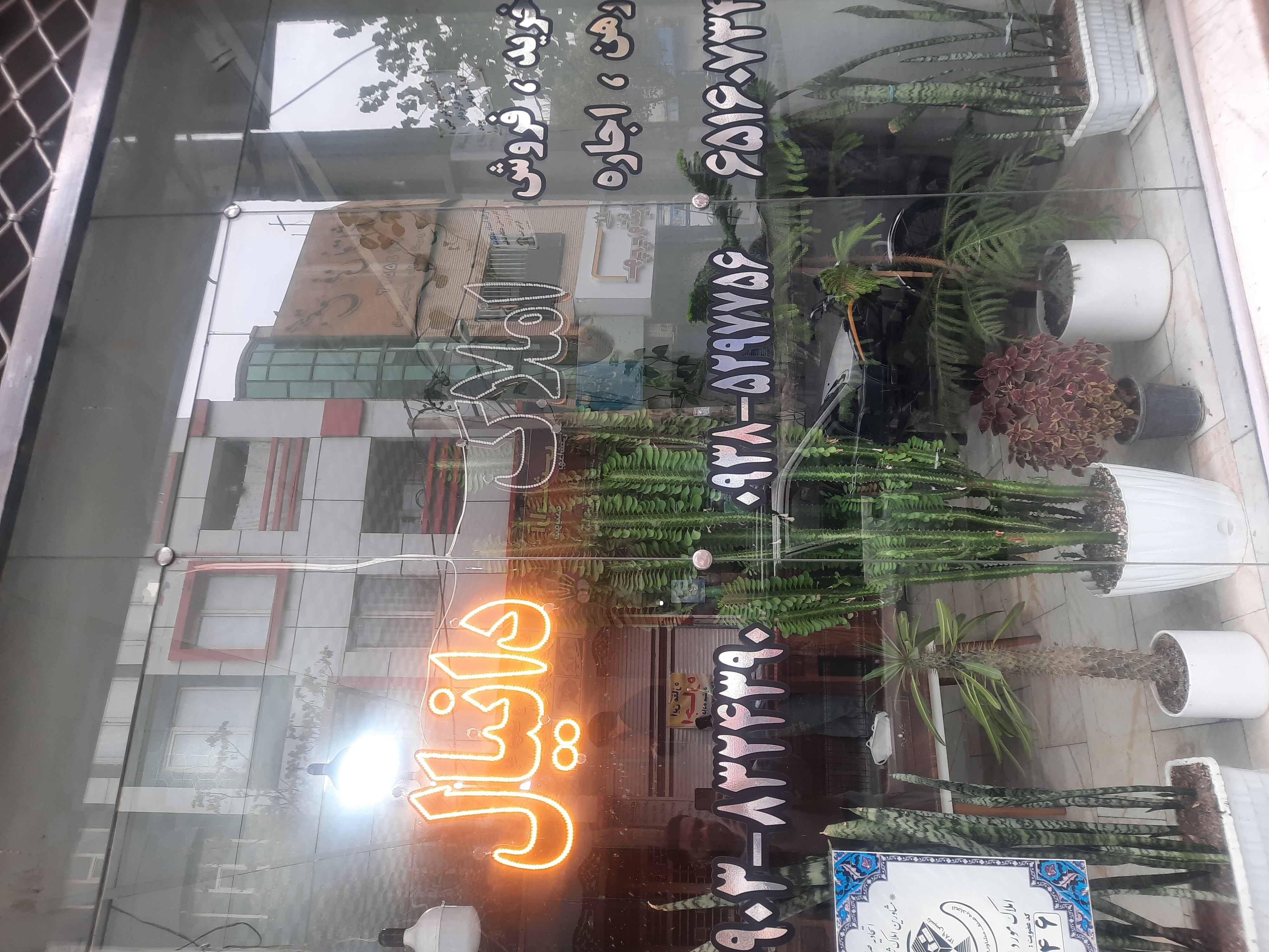 املاک دانیال