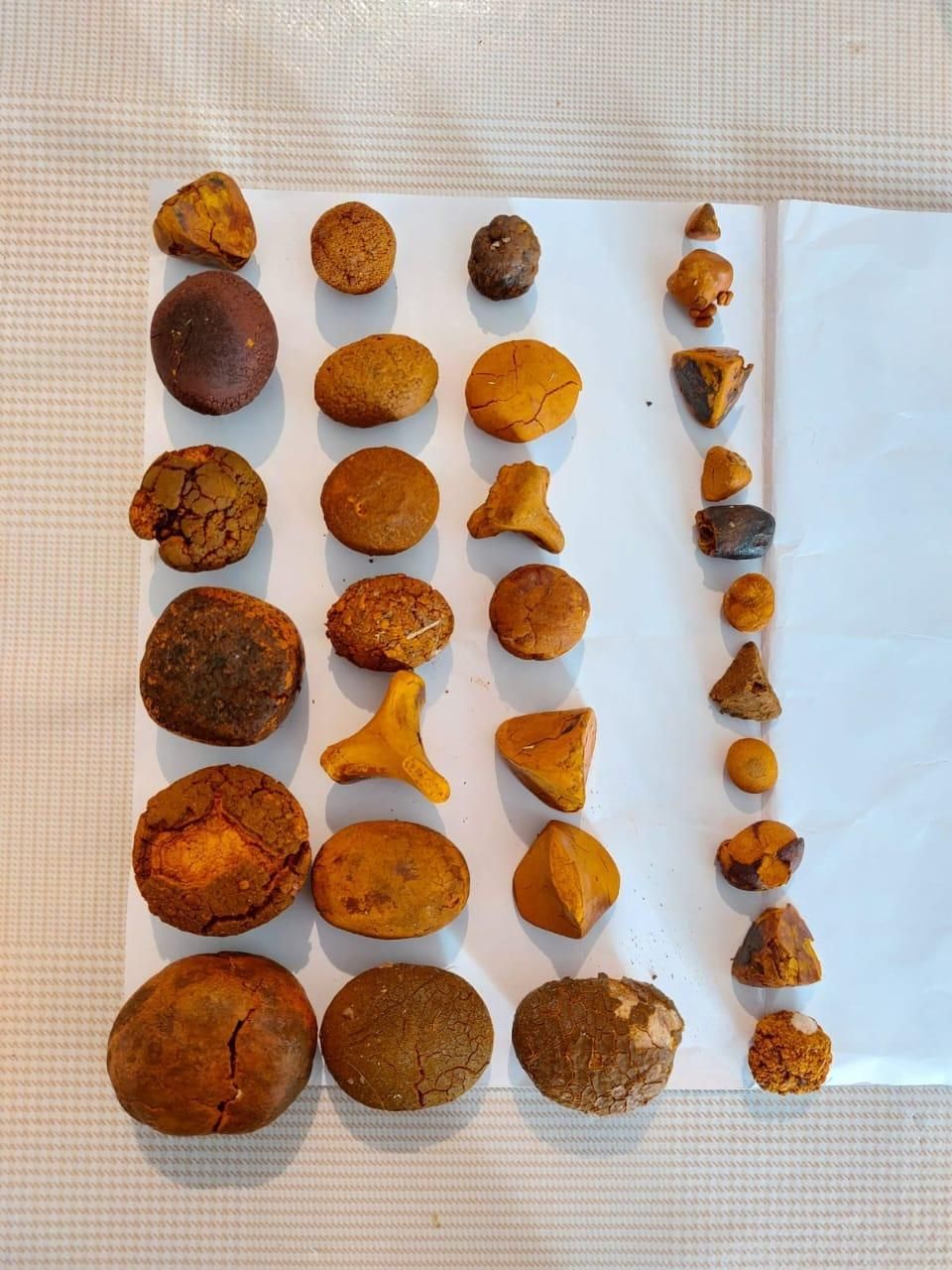 طب سنتی امین