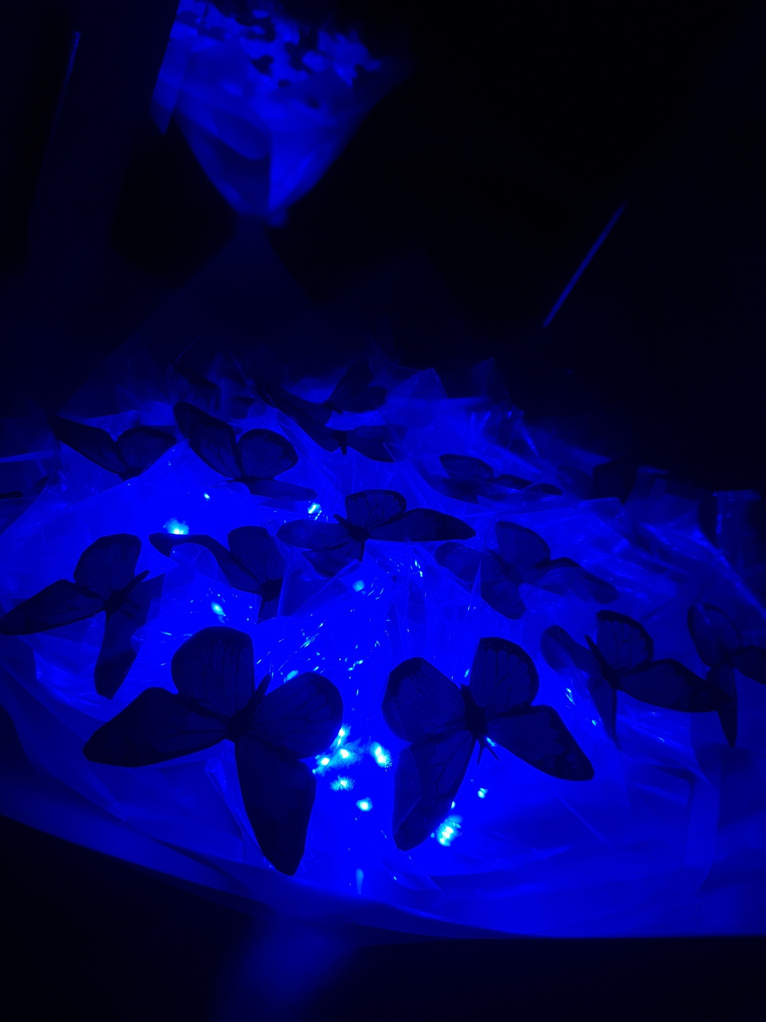 دژاوو فلاور گل  روبانی و گل پروانه