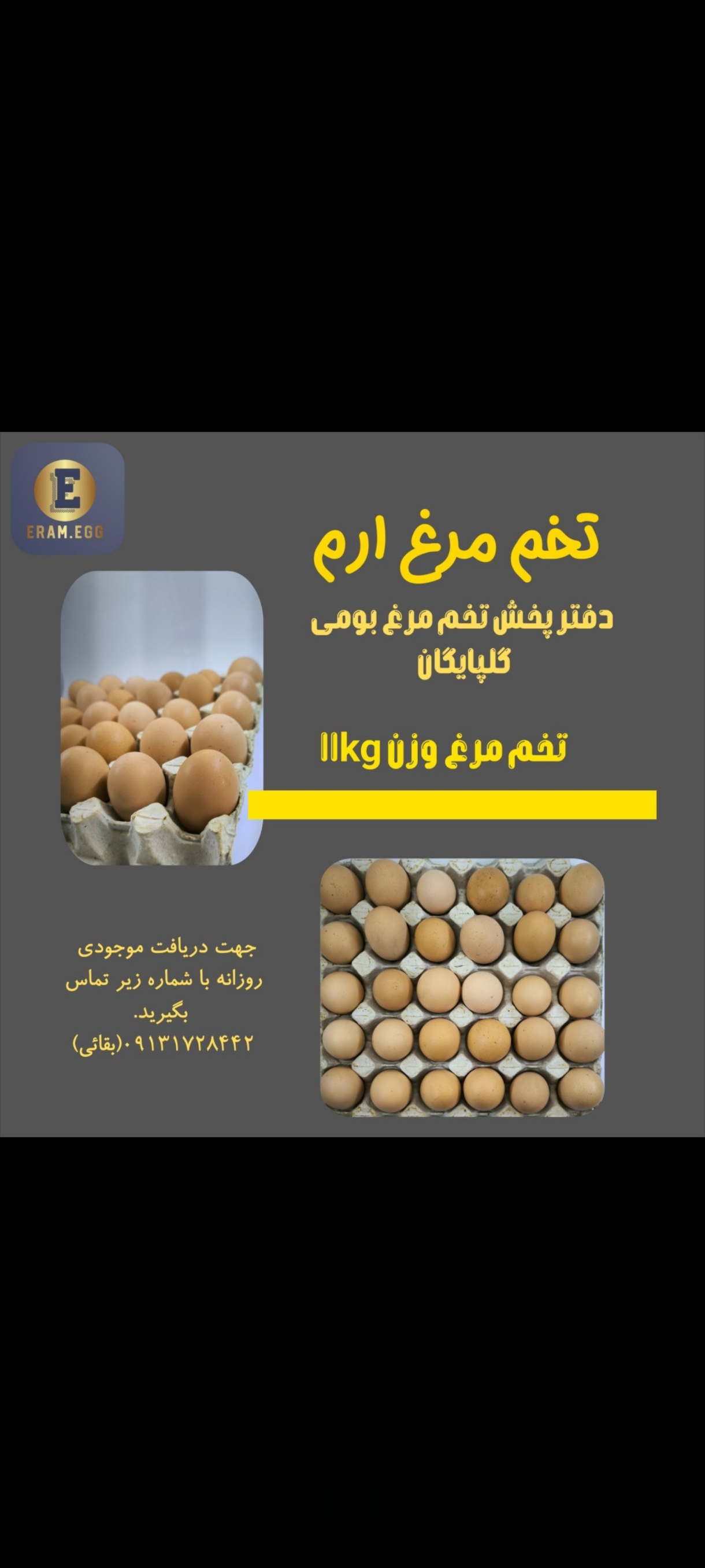 پخش تخم مرغ ارم  گلپایگان