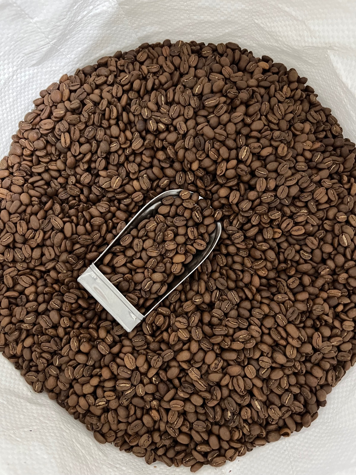 فروش عمده قهوه( کارخانه رست قهوه)