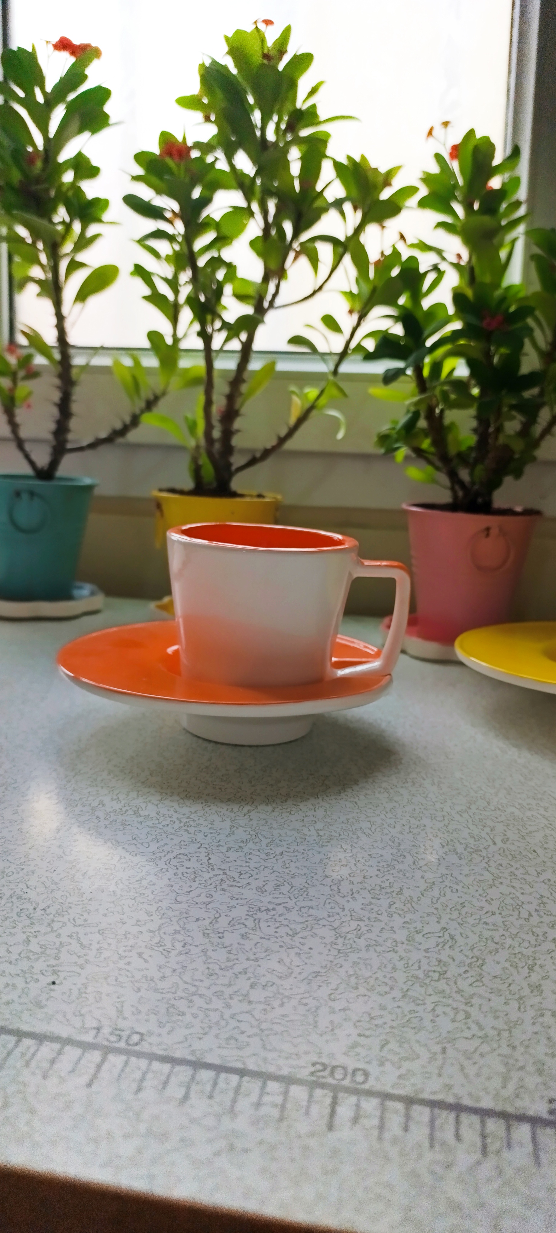 تولید ظروف سرامیک