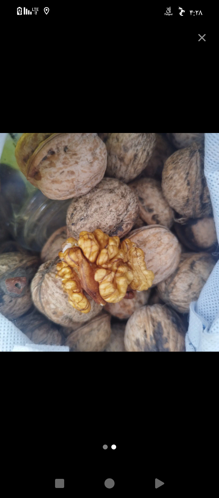 میوه تره بار روز