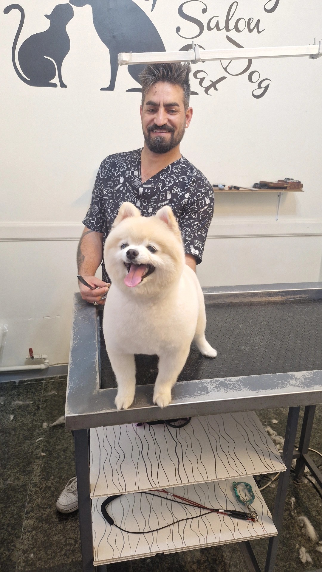 کلینیک دامپزشکی پاندورا