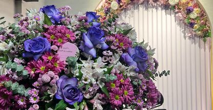 باشگاه ورزشی الوا ویژه بانوان