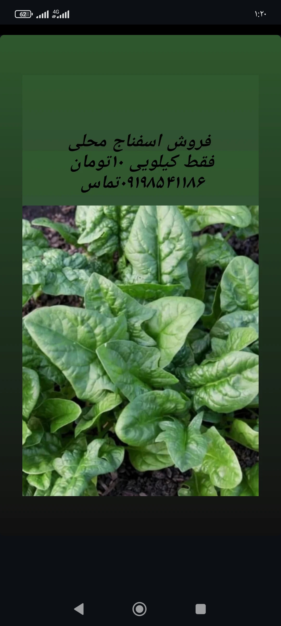 سبزیجات دست چین