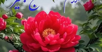 اژانس مسافرتی وهواپیمایی پریان سیر مرند