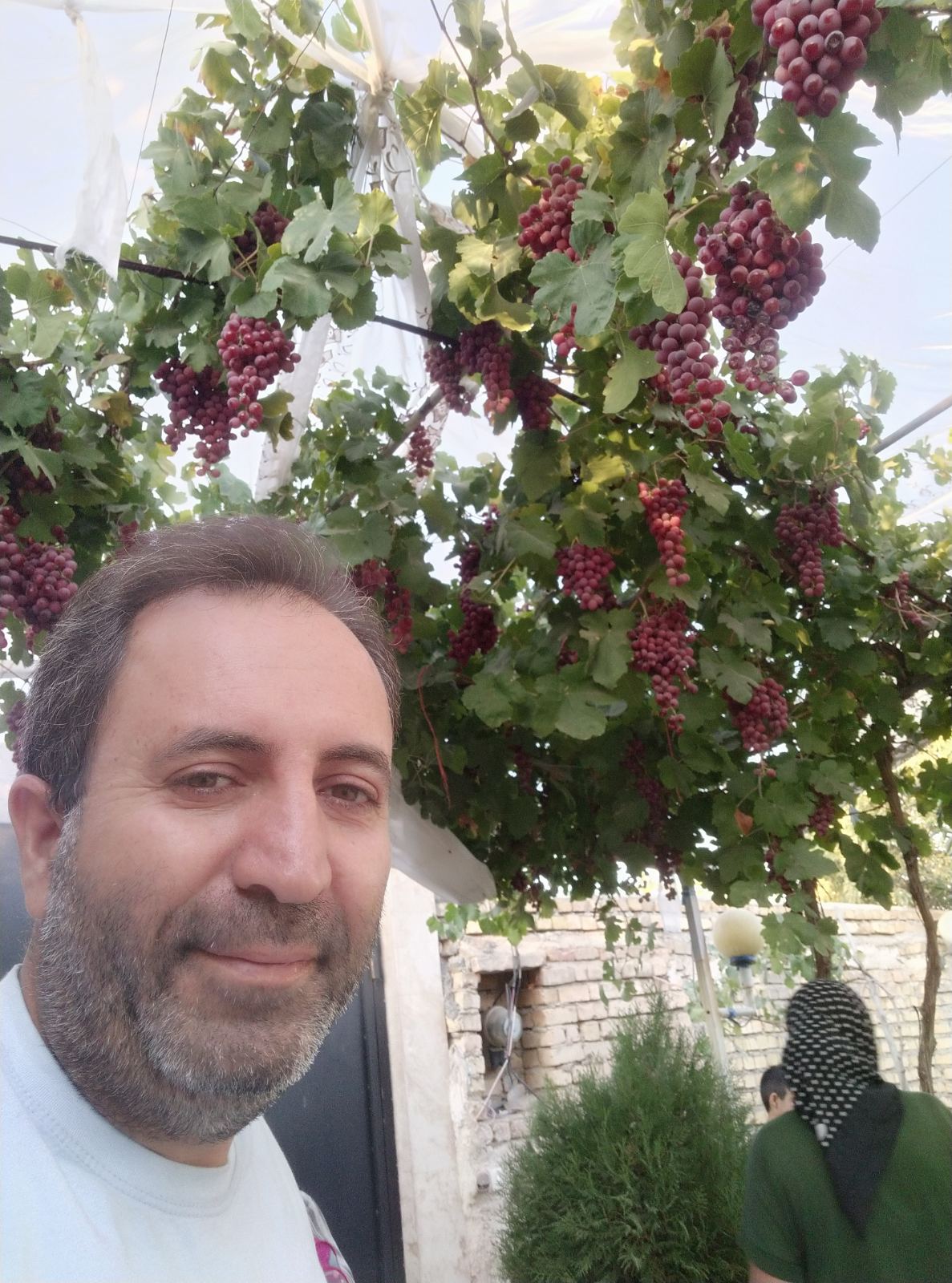 تاسیسات ساختمان مختاری