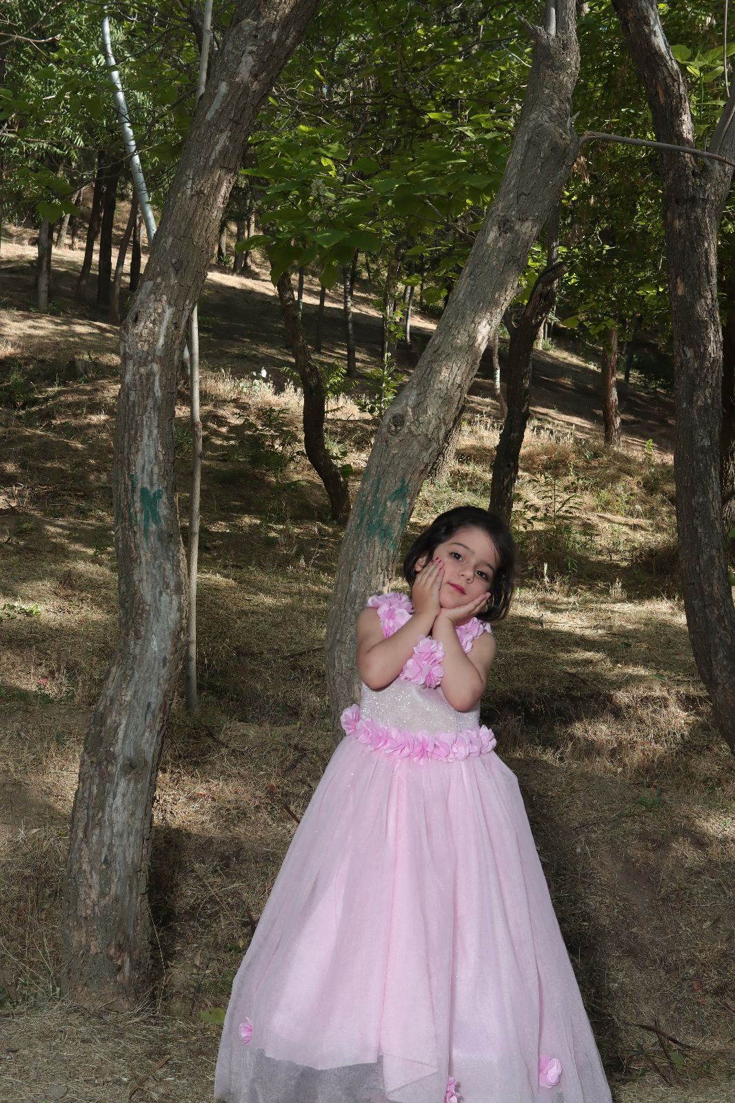 عکاسی نگارستان