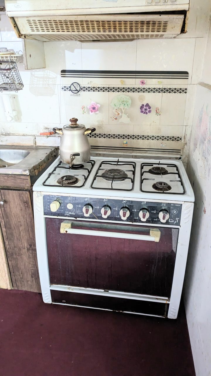 ویلای جنگلی دودوست