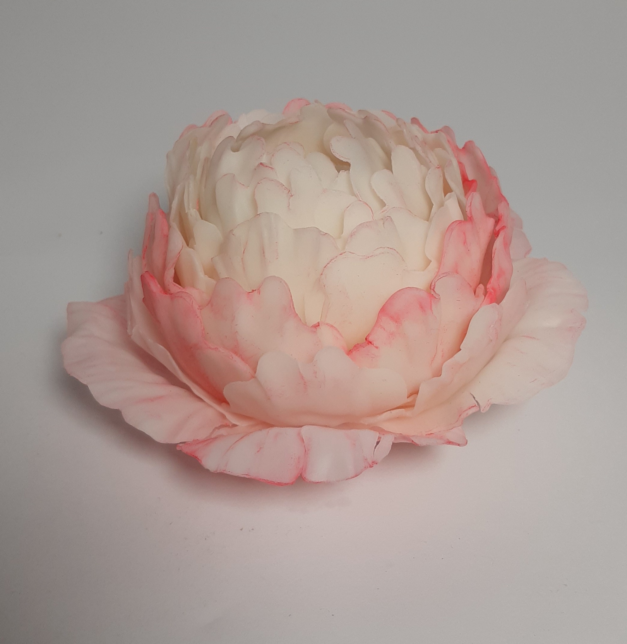 تولیدکننده شمع های دکوراتیو پروانه