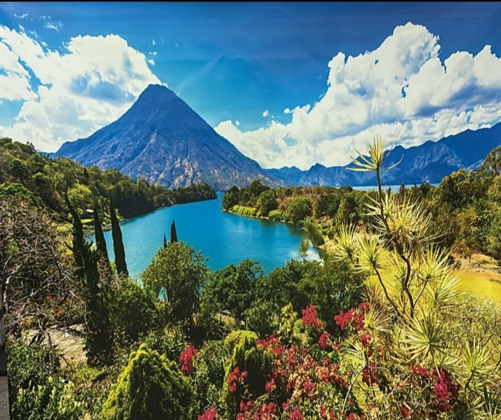 انواع پرده ازخود تولیدکننده فاتکس غفاری