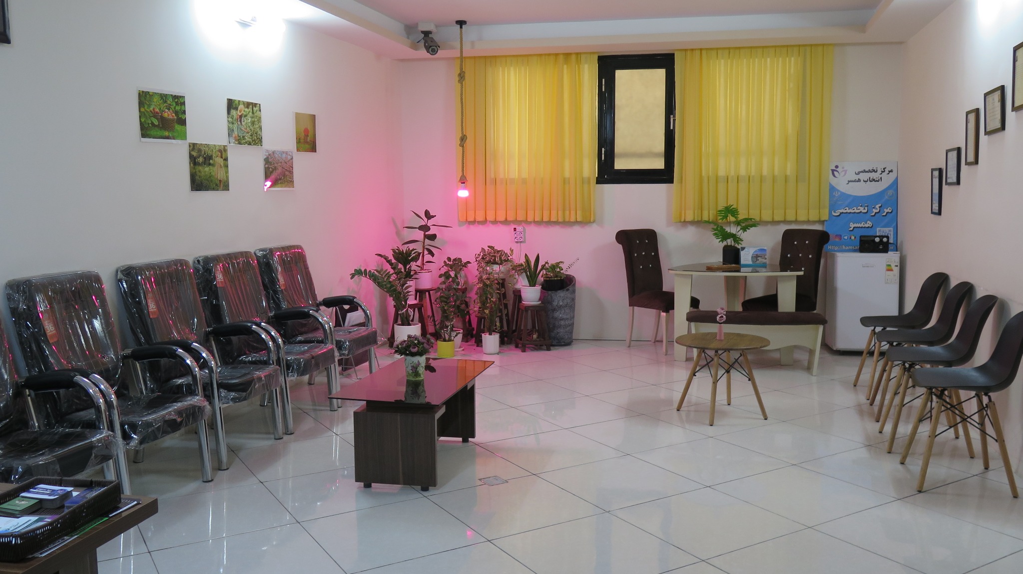 مرکز مغز و شناخت فهیمه قدریان