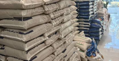 پخش برنج زَرمیر