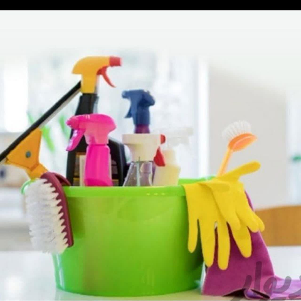 شرکت خدمات ونظافت پاکیزگان