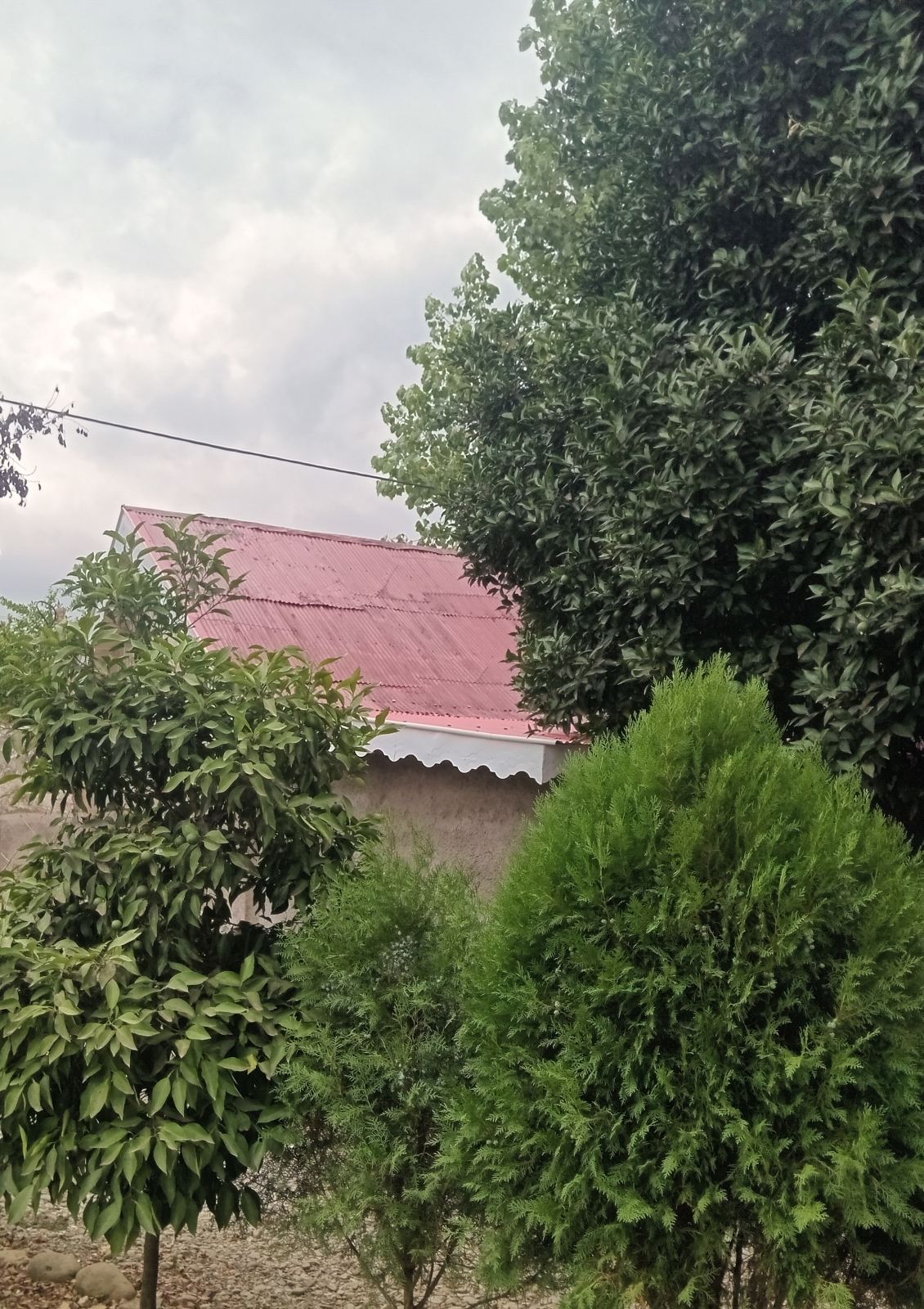 سوئیت داوود در گیلان روستای سه سار