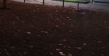 سوخاری کیلویی آو