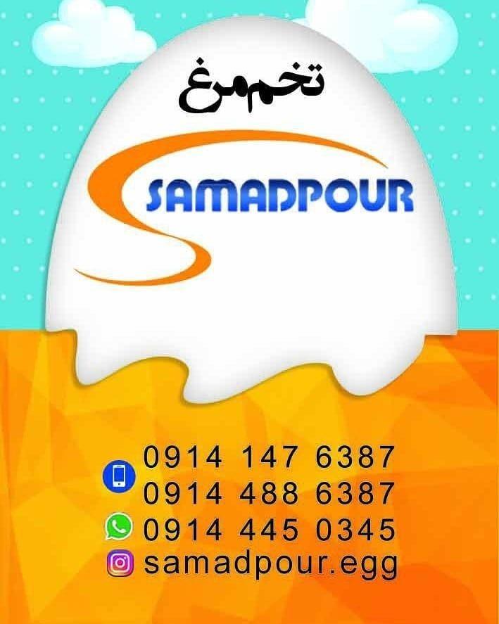 بازرگانی تخم مرغ سی دُرّ