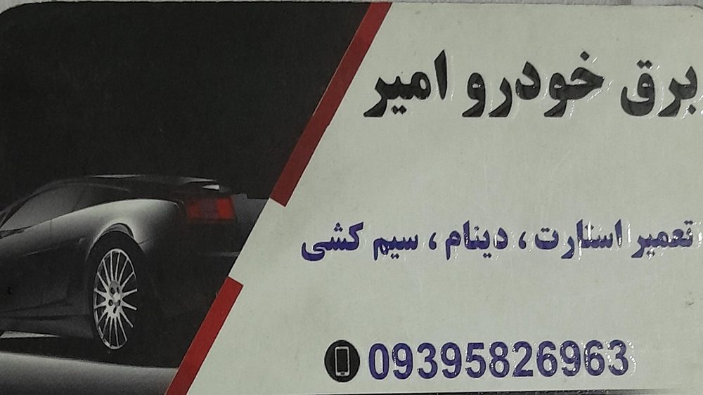 باطری سازی وبرق خودرو امیر