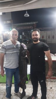 ماهی فروشی پور معصومی
