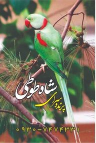 پت شاپ، اکواریوم و پرنده فروشی شاه طوطی