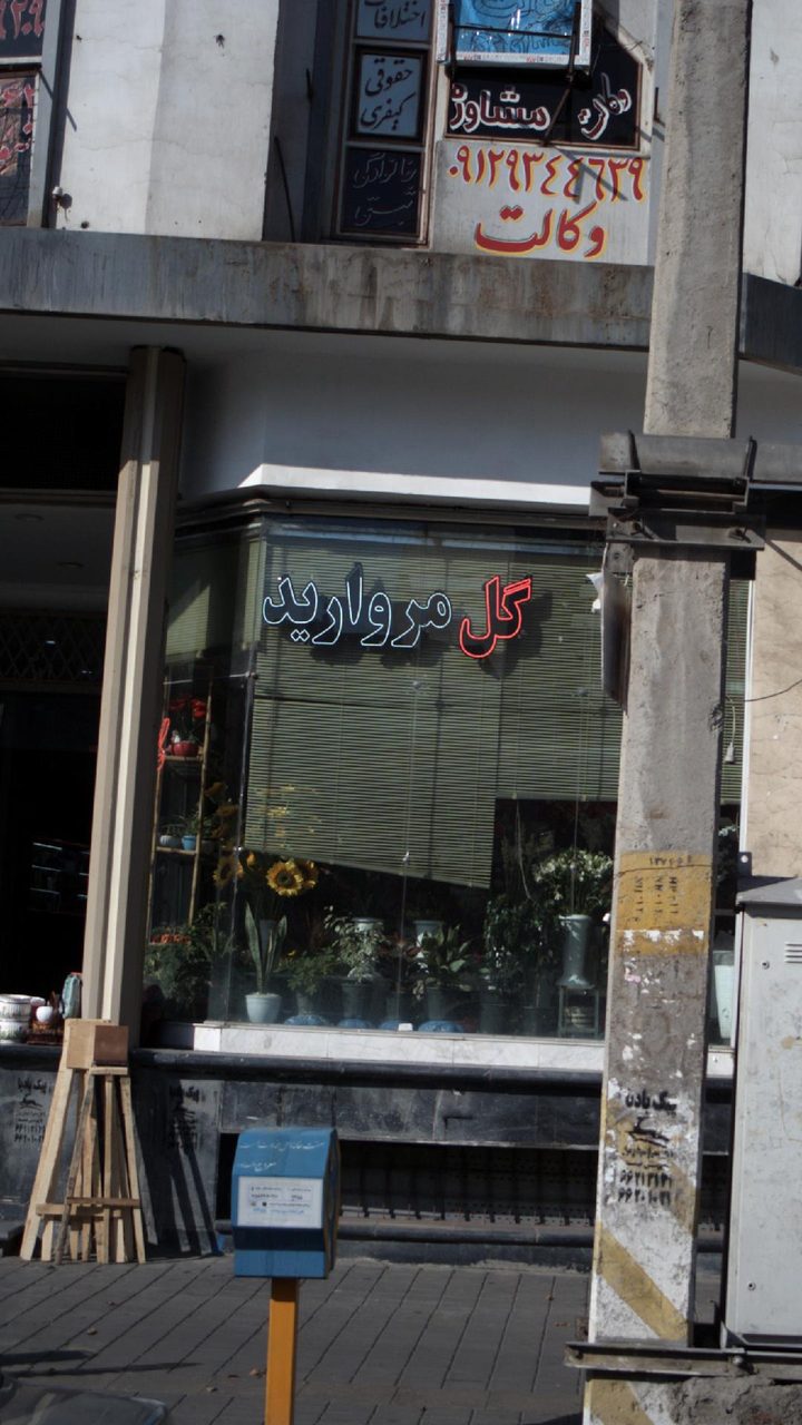 گل مروارید