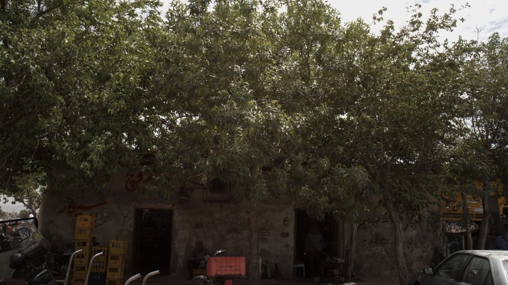 ساندویچ فروشی