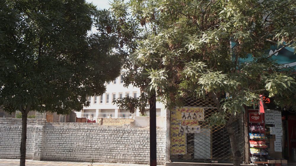 مرغ فروشی