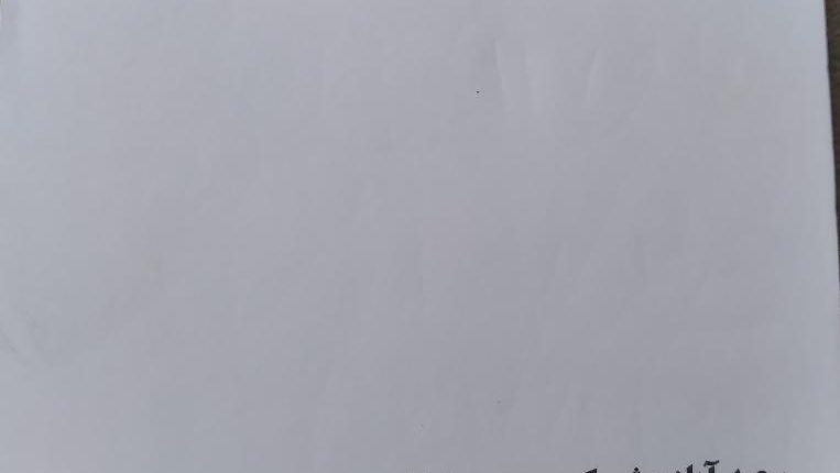 باربری پارس