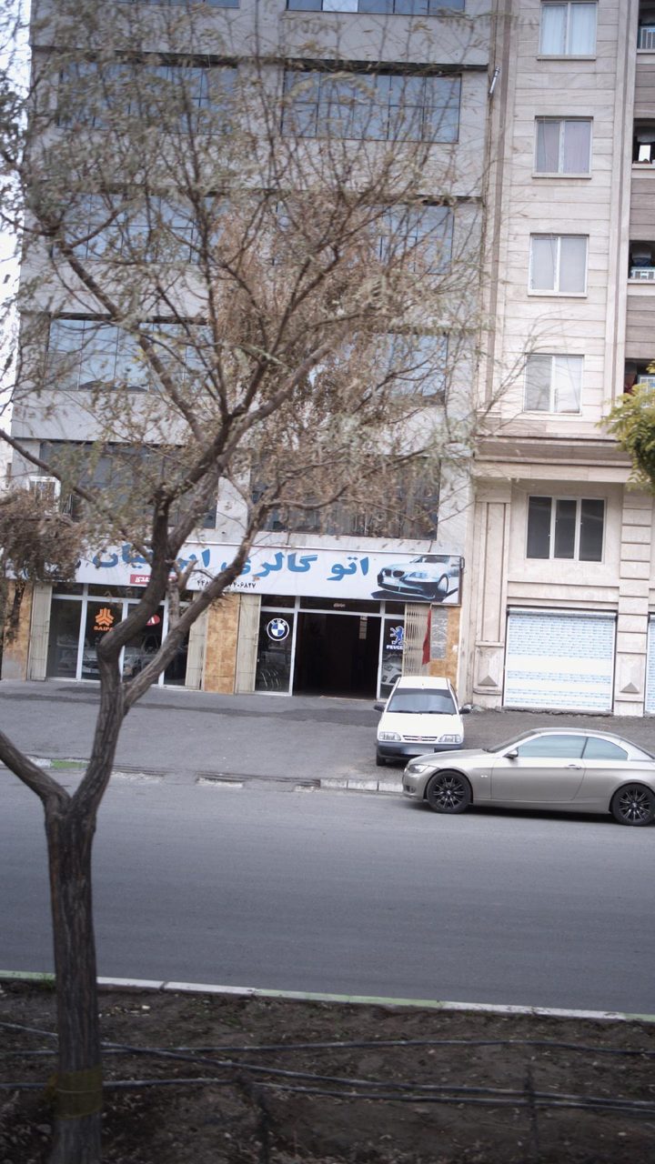 شاهرخ ژاپنی