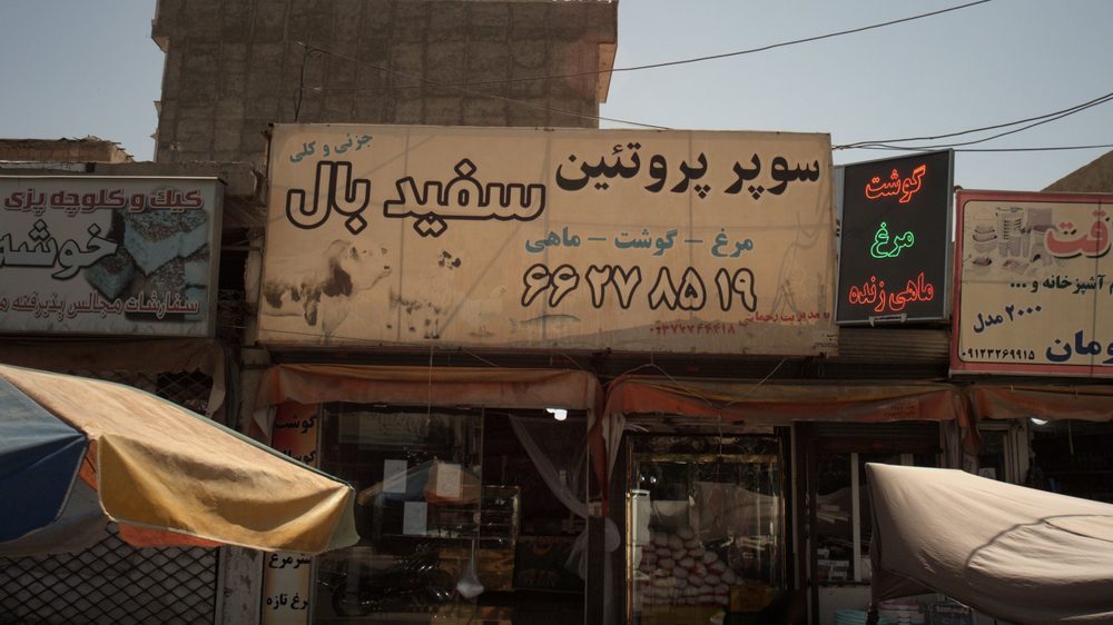 سوپر پروتئین سفید بال