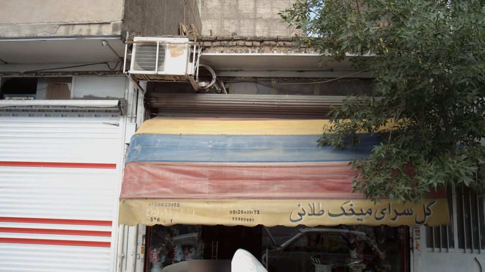 گل سرای میخک طلایی