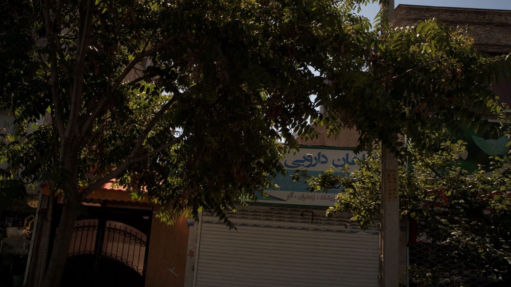دارو گیاهی