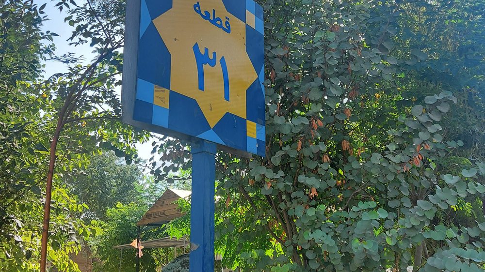 فرشتگان کوچک