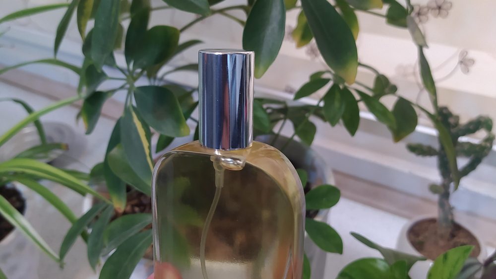 عطر گودفیوم