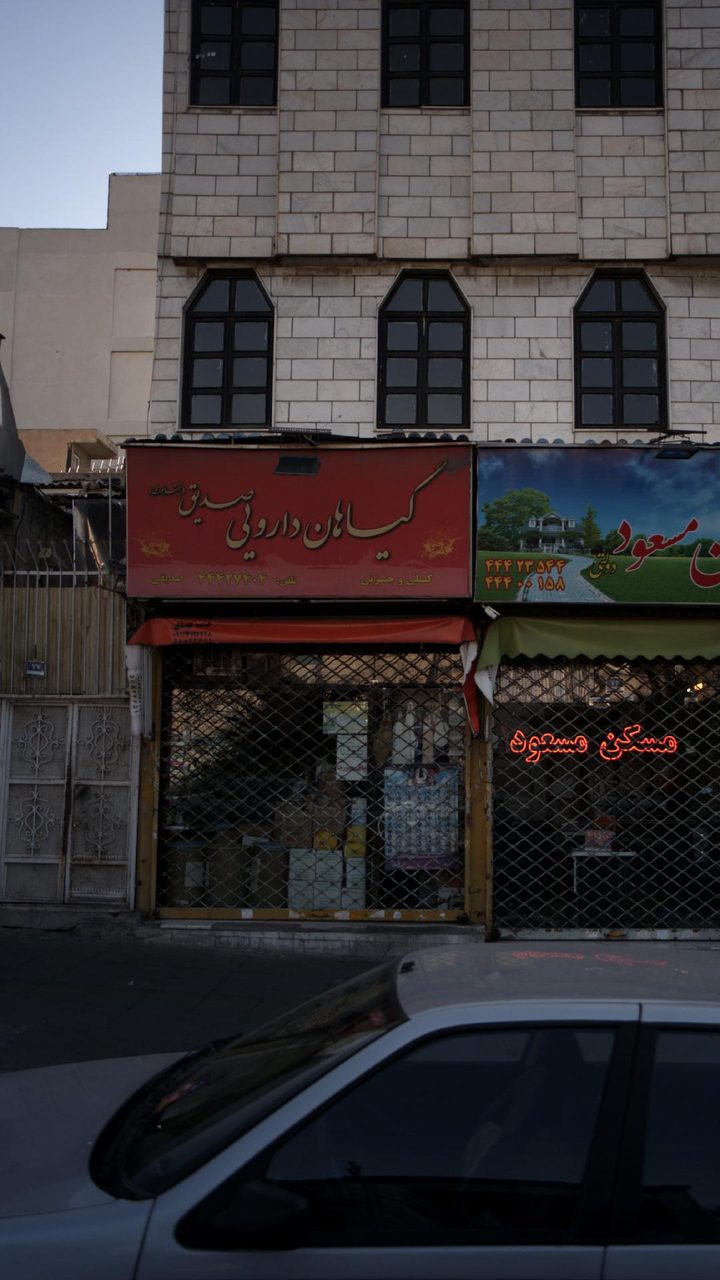 گیاهان دارویی حکیم داوودی