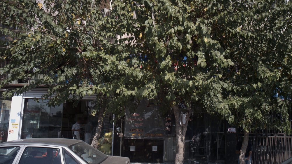 طباخی