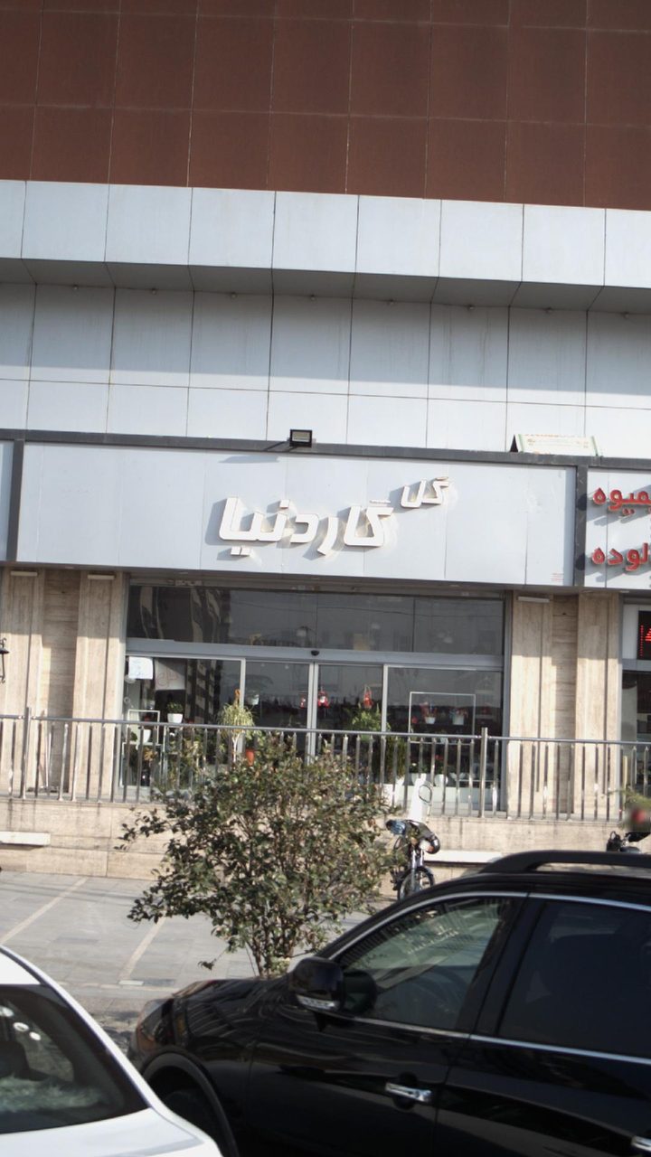 گل گاردنیا