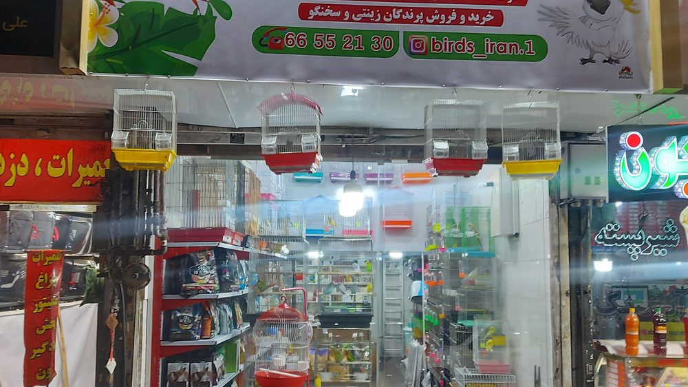 پت شاپ ایران پرنده