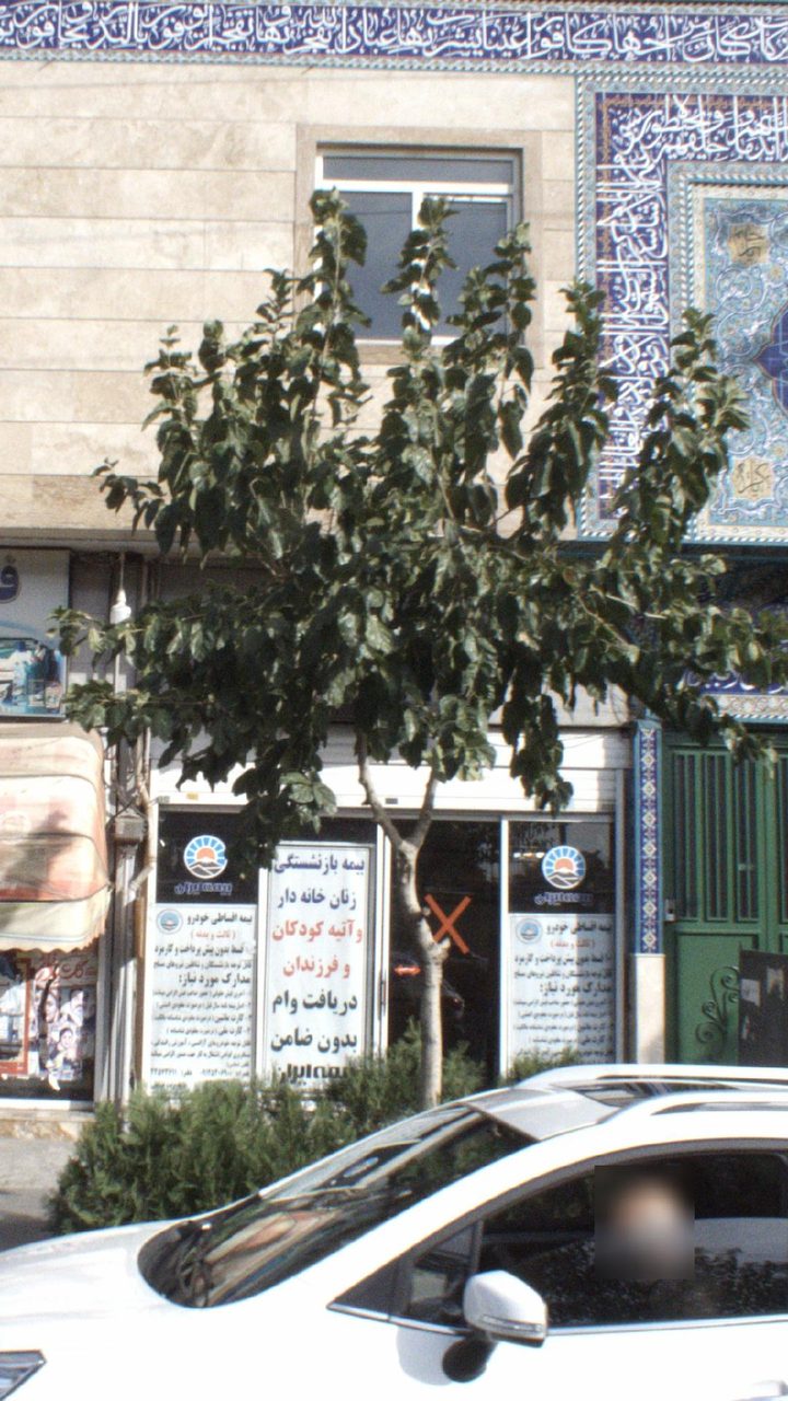 بیمه ایران نمایندگی عرب کد 5278