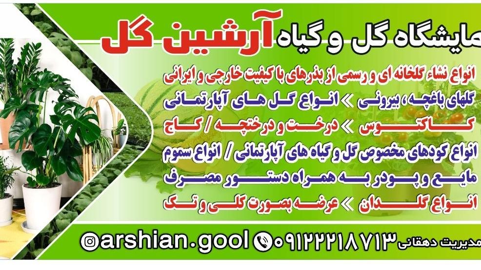 ارشین گل