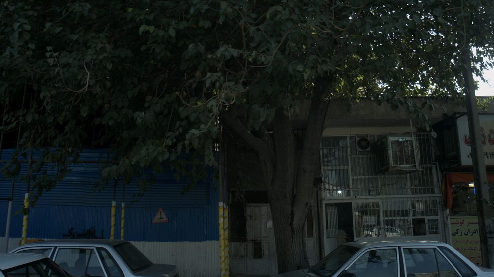 نانوایی تافتون