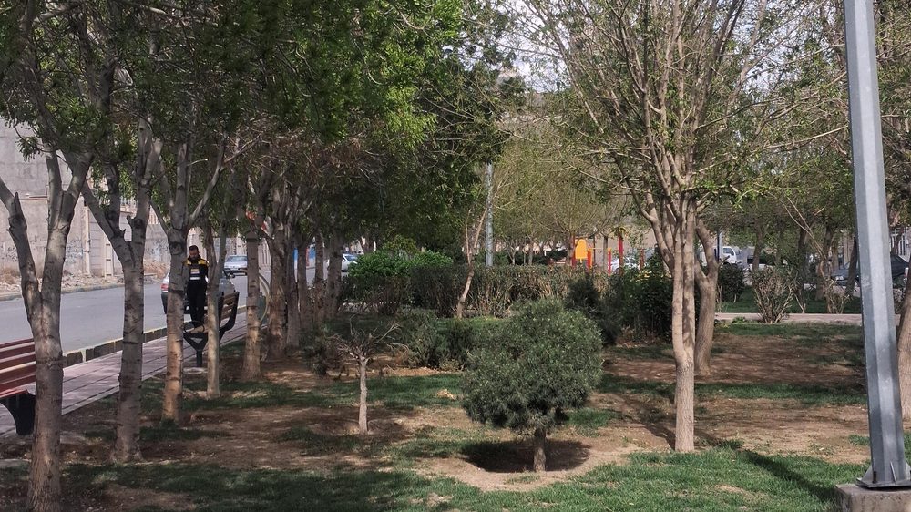 بوستان شهید وطنی