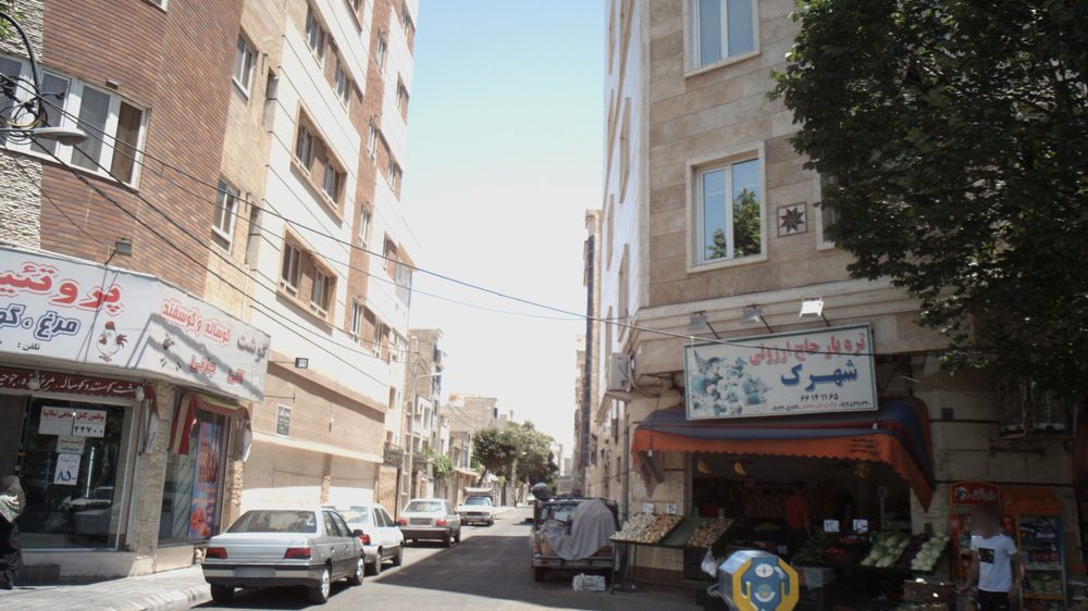 میوه فروشی چنارلی