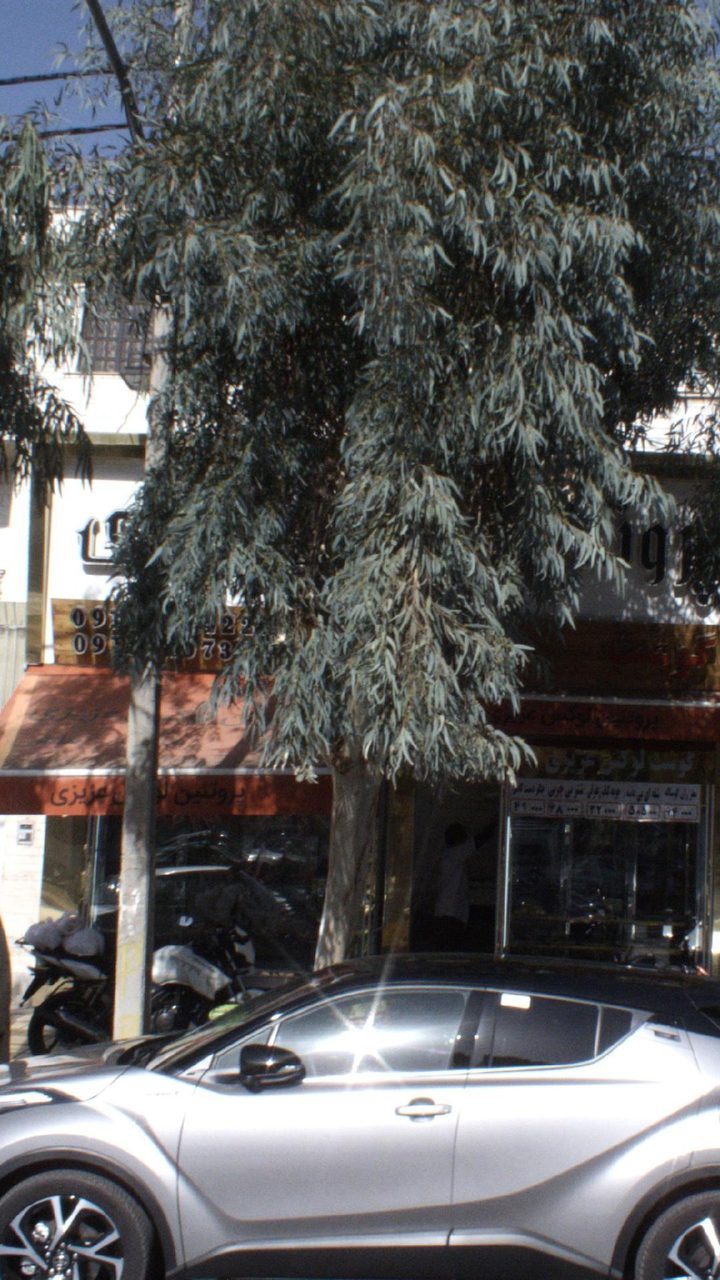 گوشت فروشی
