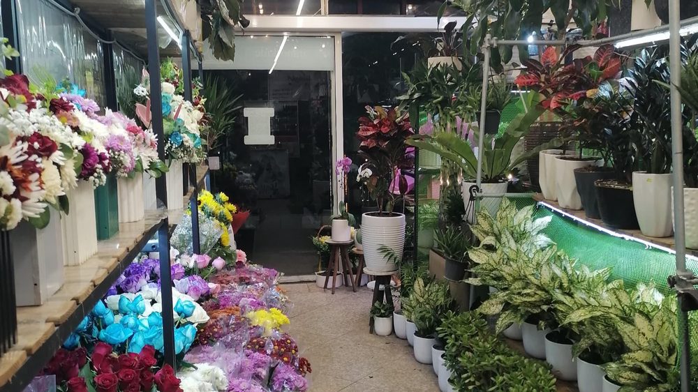 گلسرای ایران ارکیده