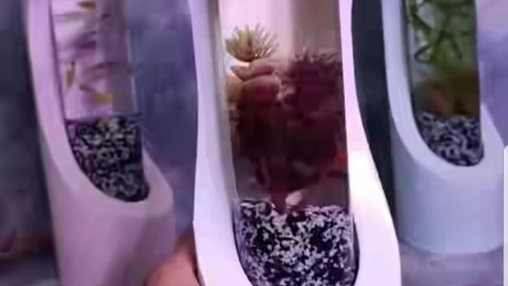 کارگاه تخصصی ماکان کمپر