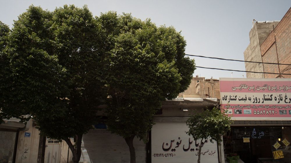 موبایل انریکو