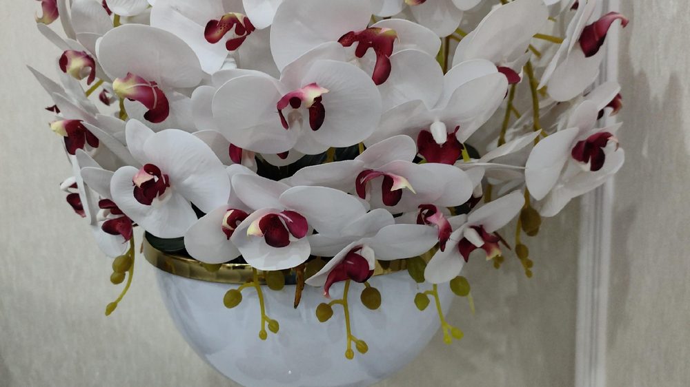گل رز نقره ای